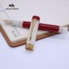 Acrylic Fountain Pen – Contemporary Writing Style