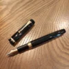 Gold-Trim Fountain Pen – Fine Nib