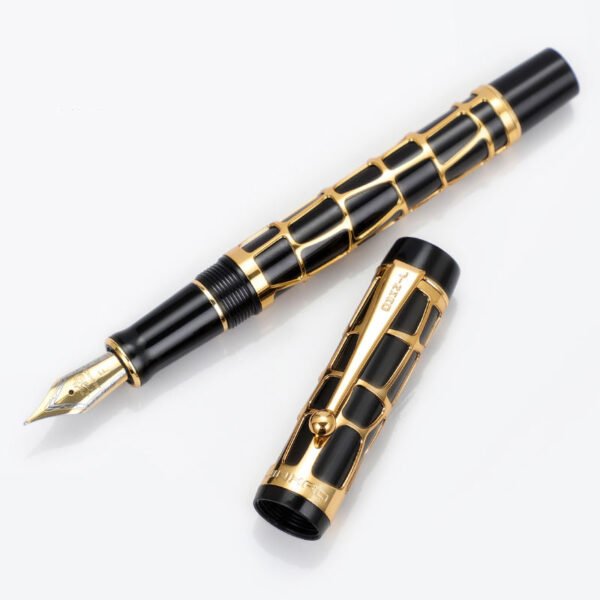 Ha6ac3abde6394476a549641777d7f31am.jpg_960x960q80.jpg Century 100 Skeleton Fountain Pen – Openwork Design